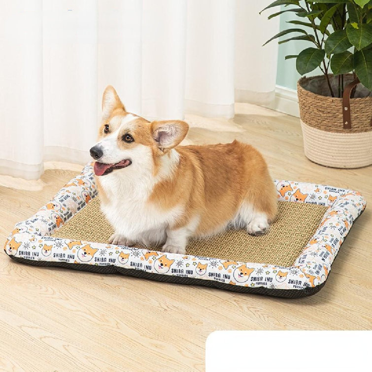 Tucker Murphy Pet Dog Mat Summer Mat House Cat House Small Dog